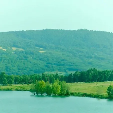 Wood Mugello