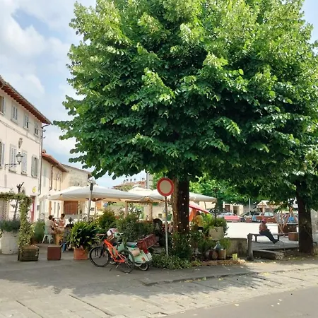 Wood Mugello